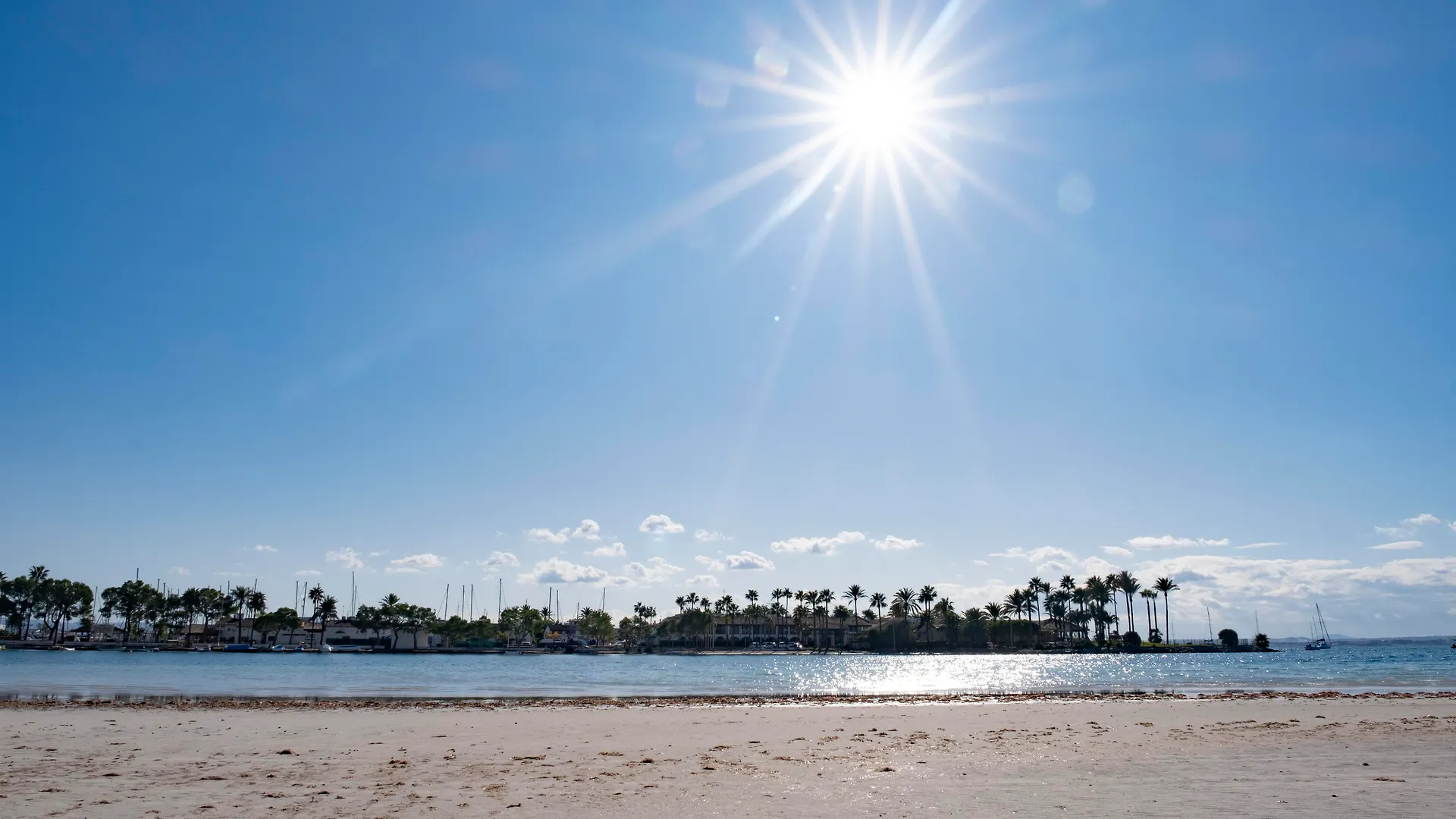 Eix Alcudia Hotel Adults Only Port de Alcudia